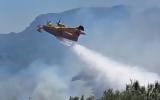 Δύο Canadair, Ελλάδα, Αυστρία,dyo Canadair, ellada, afstria