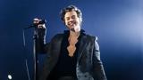 Harry Styles, LGBTQ+, Βοήθησε,Harry Styles, LGBTQ+, voithise