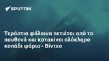 Τεράστια, - Βίντεο,terastia, - vinteo