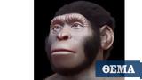 Homo Naledi Child’s Skull Reconstructed,