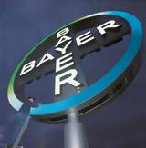 Bayer, Επιστροφή,Bayer, epistrofi