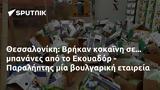 Θεσσαλονίκη, Βρήκαν ΐνη, Εκουαδόρ - Παραλήπτης,thessaloniki, vrikan ΐni, ekouador - paraliptis