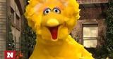 Sesame Street,Big Bird