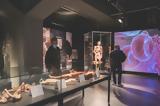 Body Worlds,