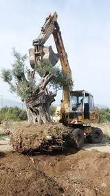 Δήμος Νέας Φιλαδέλφειας,dimos neas filadelfeias