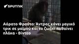 Αόρατο Φρούτο, Άντρας, - Βίντεο,aorato frouto, antras, - vinteo