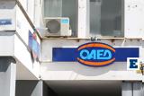 ΟΑΕΔ,oaed