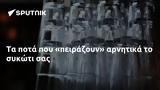 Τα ποτά που «πειράζουν» αρνητικά το συκώτι σας,