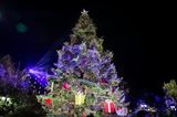 Άναψε, Χριστουγεννιάτικο Δέντρο, Σύνταγμα – Δείτε,anapse, christougenniatiko dentro, syntagma – deite
