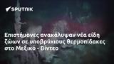 Επιστήμονες, Μεξικό - Βίντεο,epistimones, mexiko - vinteo