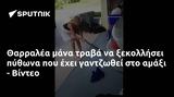 Θαρραλέα, - Βίντεο,tharralea, - vinteo