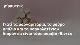 -Βίντεο,-vinteo