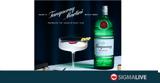 Tanqueray Martini, Twist,House, Gucci