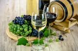 Κρασί – Αισιοδοξεί, – Αναμένει,krasi – aisiodoxei, – anamenei