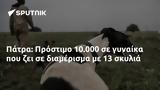 Πάτρα, Πρόστιμο 10 000,patra, prostimo 10 000