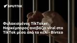 Φυλακισμένος TikToker, Ναρκέμπορος, TikTok, - Βίντεο,fylakismenos TikToker, narkeboros, TikTok, - vinteo