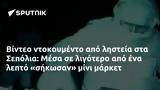 Βίντεο, Σεπόλια, Μέσα,vinteo, sepolia, mesa