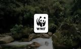 WWF, Ελλάδα,WWF, ellada