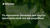 Το «άγνωστο» λαχανικό που χαρίζει προστασία κατά ιών και μικροβίων,