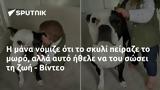 - Βίντεο,- vinteo