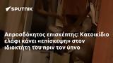 Απροσδόκητος, Κατοικίδιο,aprosdokitos, katoikidio