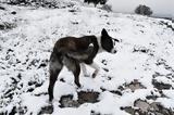 Καιρός, Κυριακή, Πού, “χτυπήσει”, Κάρμελ –, ΕΜΥ,kairos, kyriaki, pou, “chtypisei”, karmel –, emy