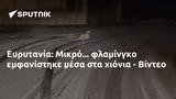 Ευρυτανία, Μικρό, - Βίντεο,evrytania, mikro, - vinteo