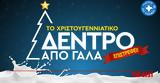 Χριστουγεννιάτικο Δέντρο, Γάλα,christougenniatiko dentro, gala