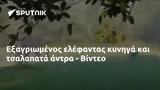 Εξαγριωμένος, - Βίντεο,exagriomenos, - vinteo