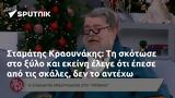 Σταμάτης Κραουνάκης,stamatis kraounakis