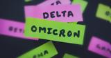 Κορονοϊός, Όμικρον, Δέλτα, Νότιο Αφρική,koronoios, omikron, delta, notio afriki