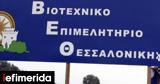 Βιοτεχνικό Επιμελητήριο Θεσσαλονίκης, Φρένο, 2021,viotechniko epimelitirio thessalonikis, freno, 2021