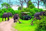 World Travel Awards, Safari,2021