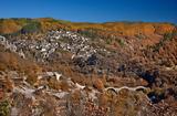 Κήποι, Ζαγόρι, Κήπους,kipoi, zagori, kipous