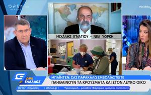 O Μιχάλης Ιγνατίου, ΗΠΑ, Μπάιντεν, O michalis ignatiou, ipa, bainten