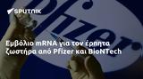 Εμβόλιο RNA, Pfizer, BioNTech,emvolio RNA, Pfizer, BioNTech