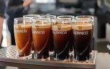 Ιρλανδός, 500, Guinness,irlandos, 500, Guinness