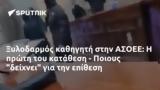 Ξυλοδαρμός, ΑΣΟΕΕ, - Ποιους,xylodarmos, asoee, - poious