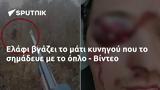 Ελάφι, - Βίντεο,elafi, - vinteo