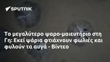 -μαιευτήριο, - Βίντεο,-maieftirio, - vinteo