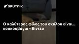 - Βίντεο,- vinteo