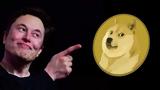 Μασκ - Dogecoin,mask - Dogecoin