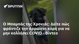 Μπαμπάς, Χρονιάς, Δείτε, COVID - Βίντεο,babas, chronias, deite, COVID - vinteo