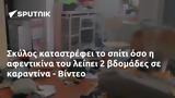 Σκύλος, - Βίντεο,skylos, - vinteo