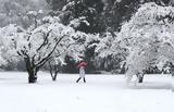 Σε ετοιμότητα ο κρατικός μηχανισμός,