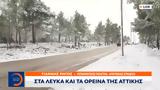 Αττικής,attikis