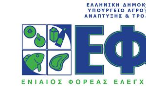 ΕΦΕΤ, Ανάκληση, efet, anaklisi