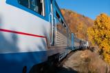 ΤΡΑΙΝΟΣΕ, Οινόη, Λειανοκλάδι,trainose, oinoi, leianokladi