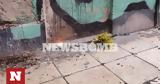 Ρεπορτάζ Newsbomb, Λουλούδια, Πάνος Νάτσης - Πώς,reportaz Newsbomb, louloudia, panos natsis - pos