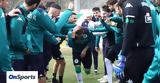 Παναθηναϊκός, Γκατσίνοβιτς -,panathinaikos, gkatsinovits -